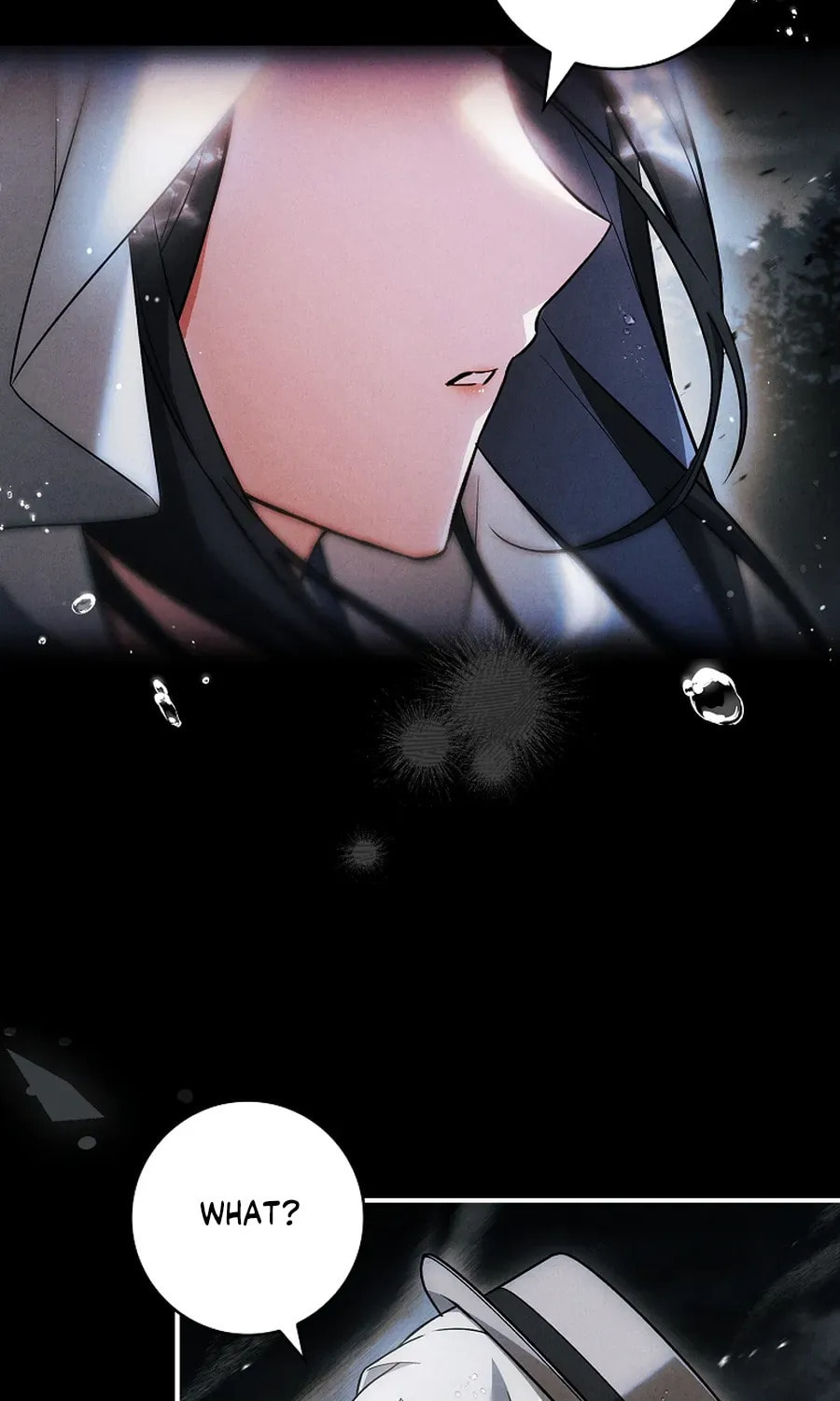 The Detective Agency for Regretful Male Leads Is Open for Business! Chapter 27 page 78 - 