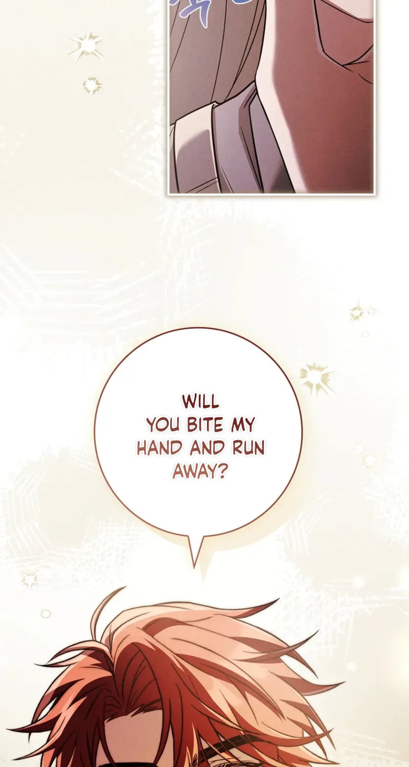 The Detective Agency for Regretful Male Leads Is Open for Business! Chapter 30 page 45 - 