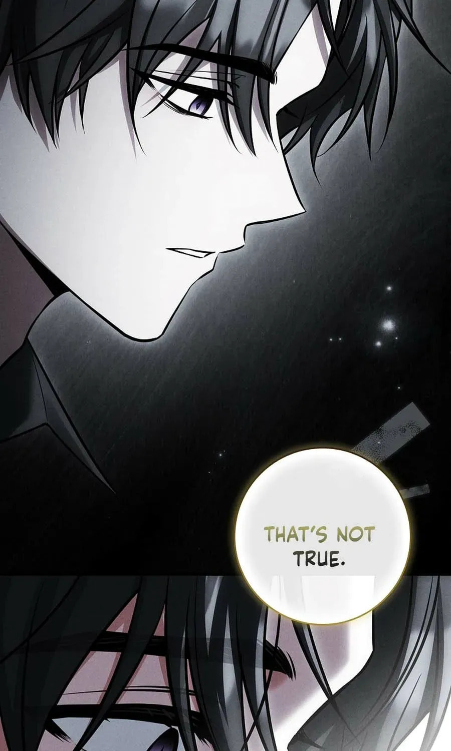 The Detective Agency for Regretful Male Leads Is Open for Business! Chapter 42 page 16 - 