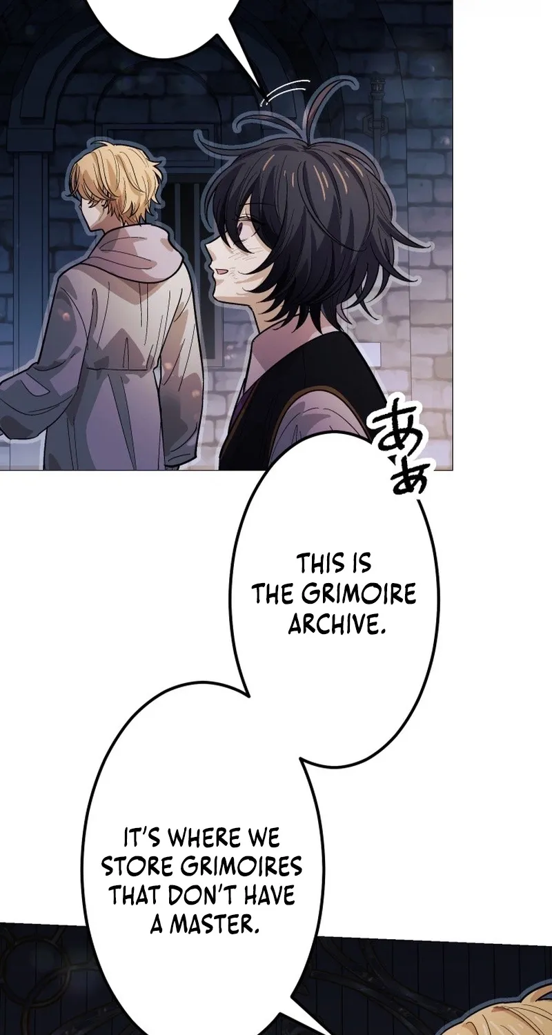 The Divine-Eyed Grimoire Mage: Jewel Saga Chapter 11 page 14 - 