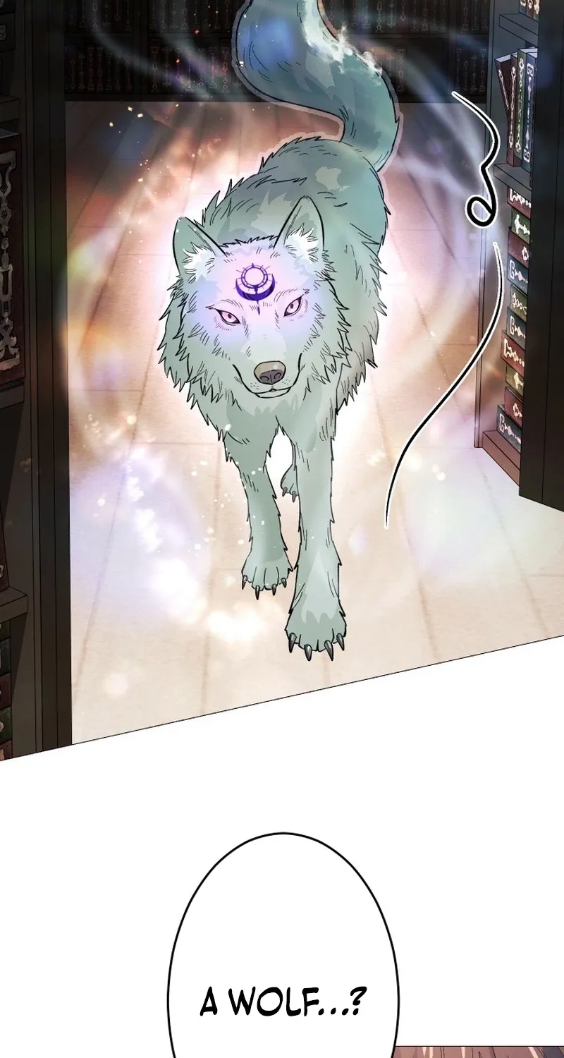 The Divine-Eyed Grimoire Mage: Jewel Saga Chapter 11 page 44 - 