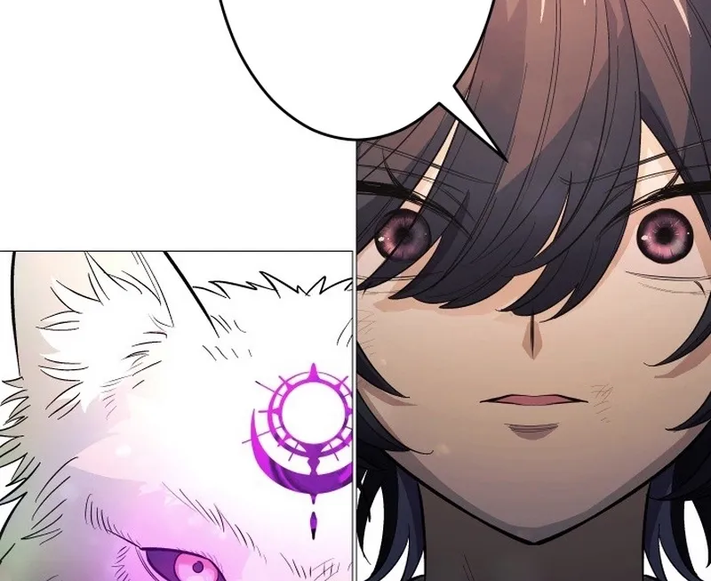 The Divine-Eyed Grimoire Mage: Jewel Saga Chapter 11 page 45 - 