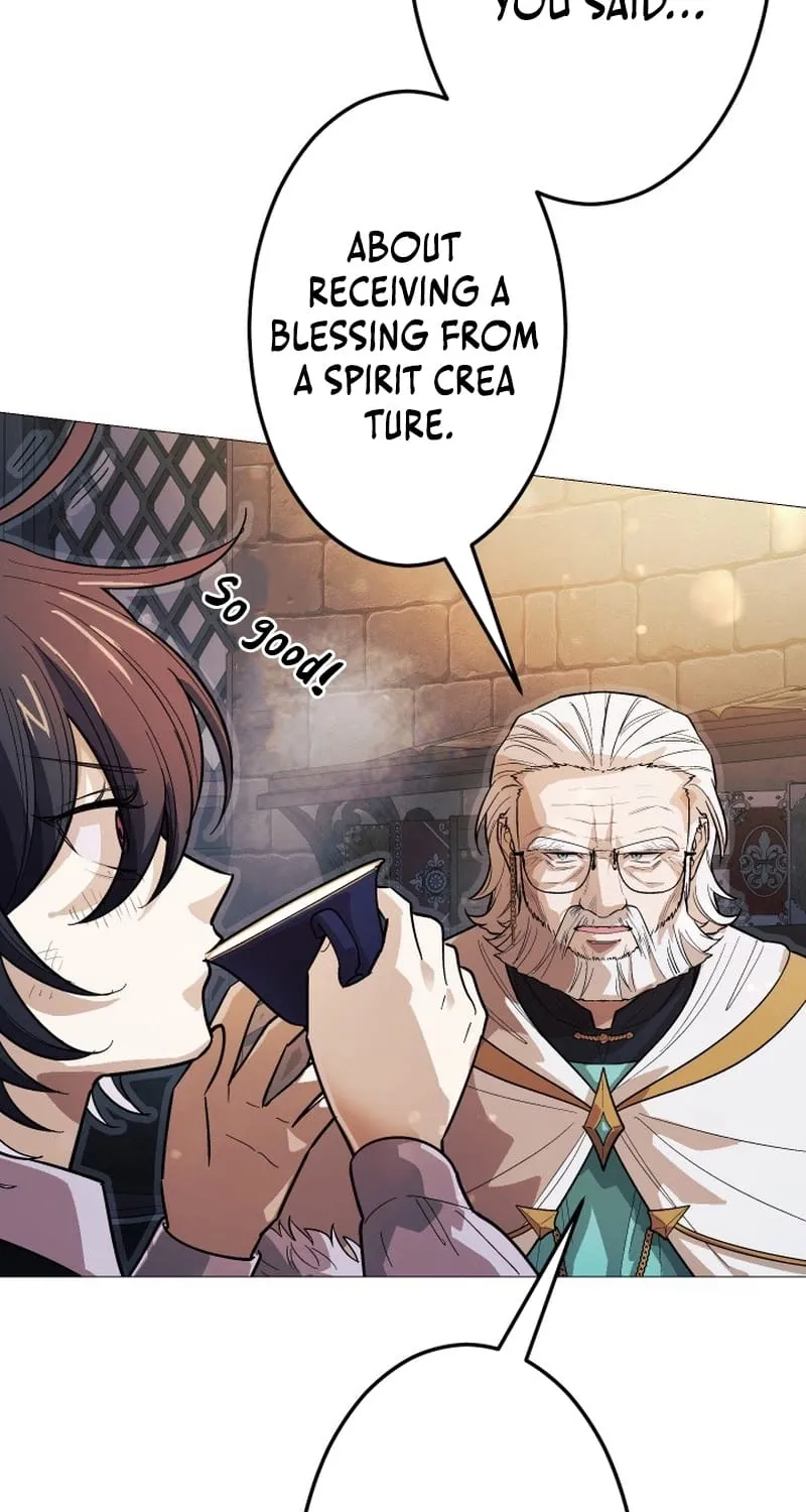 The Divine-Eyed Grimoire Mage: Jewel Saga Chapter 12 page 15 - 
