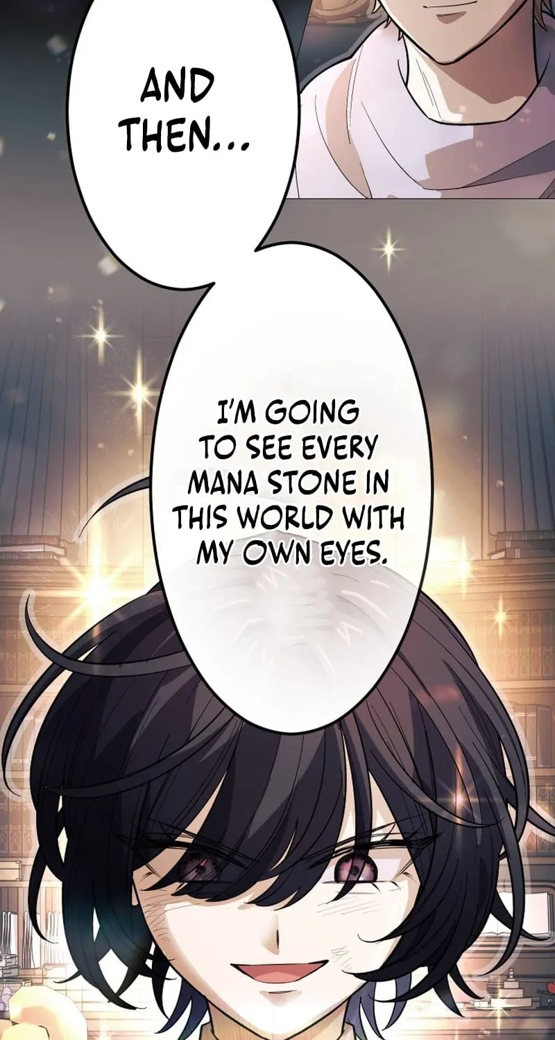 The Divine-Eyed Grimoire Mage: Jewel Saga Chapter 12 page 46 - 
