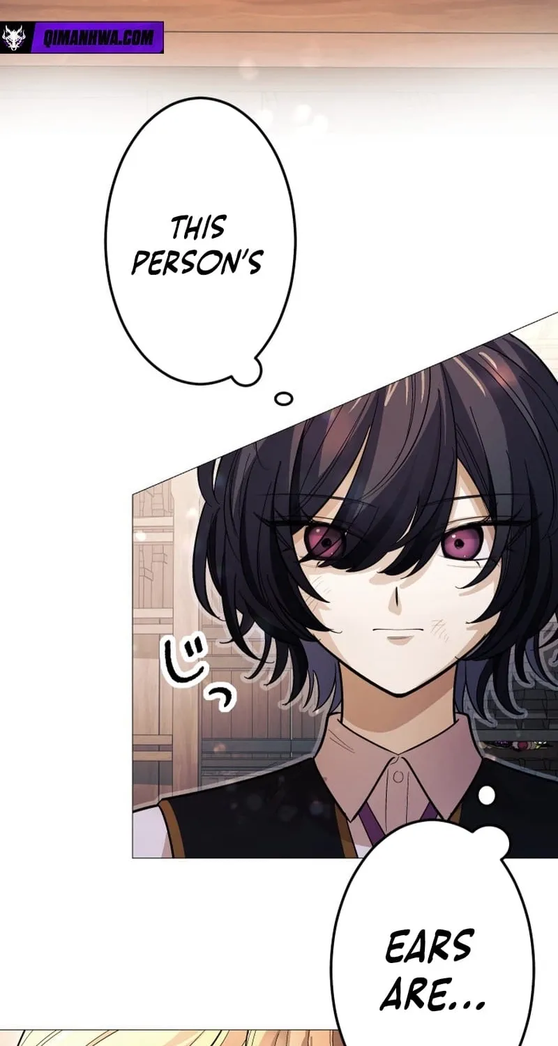 The Divine-Eyed Grimoire Mage: Jewel Saga Chapter 12 page 65 - 