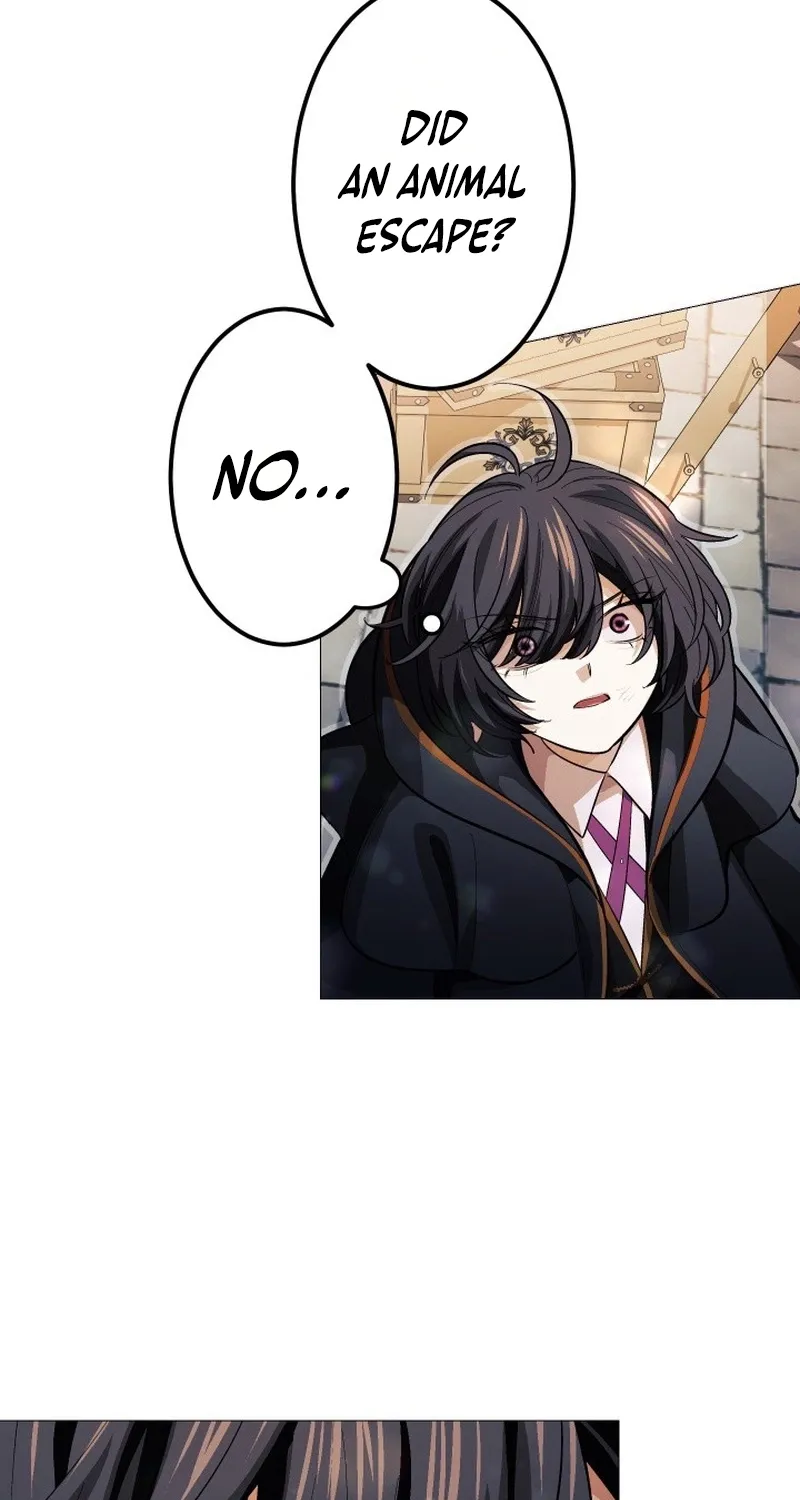 The Divine-Eyed Grimoire Mage: Jewel Saga Chapter 13 page 23 - 
