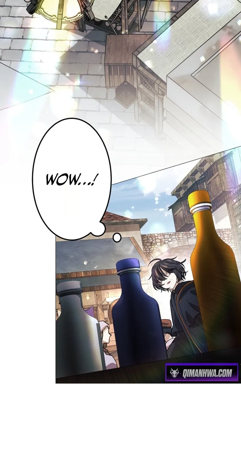 The Divine-Eyed Grimoire Mage: Jewel Saga Chapter 13 page 9 - 