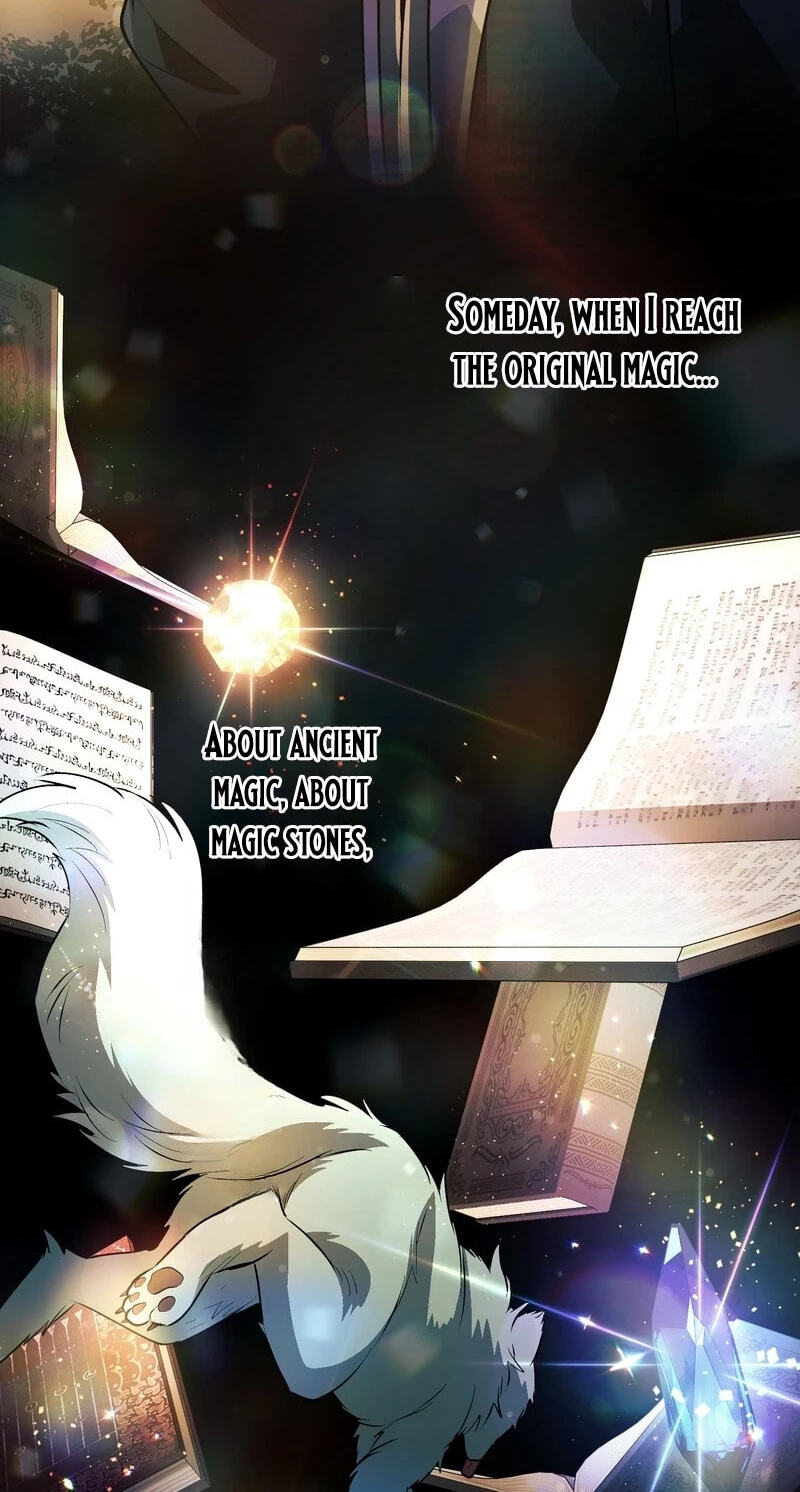 The Divine-Eyed Grimoire Mage: Jewel Saga Chapter 25 page 45 - 