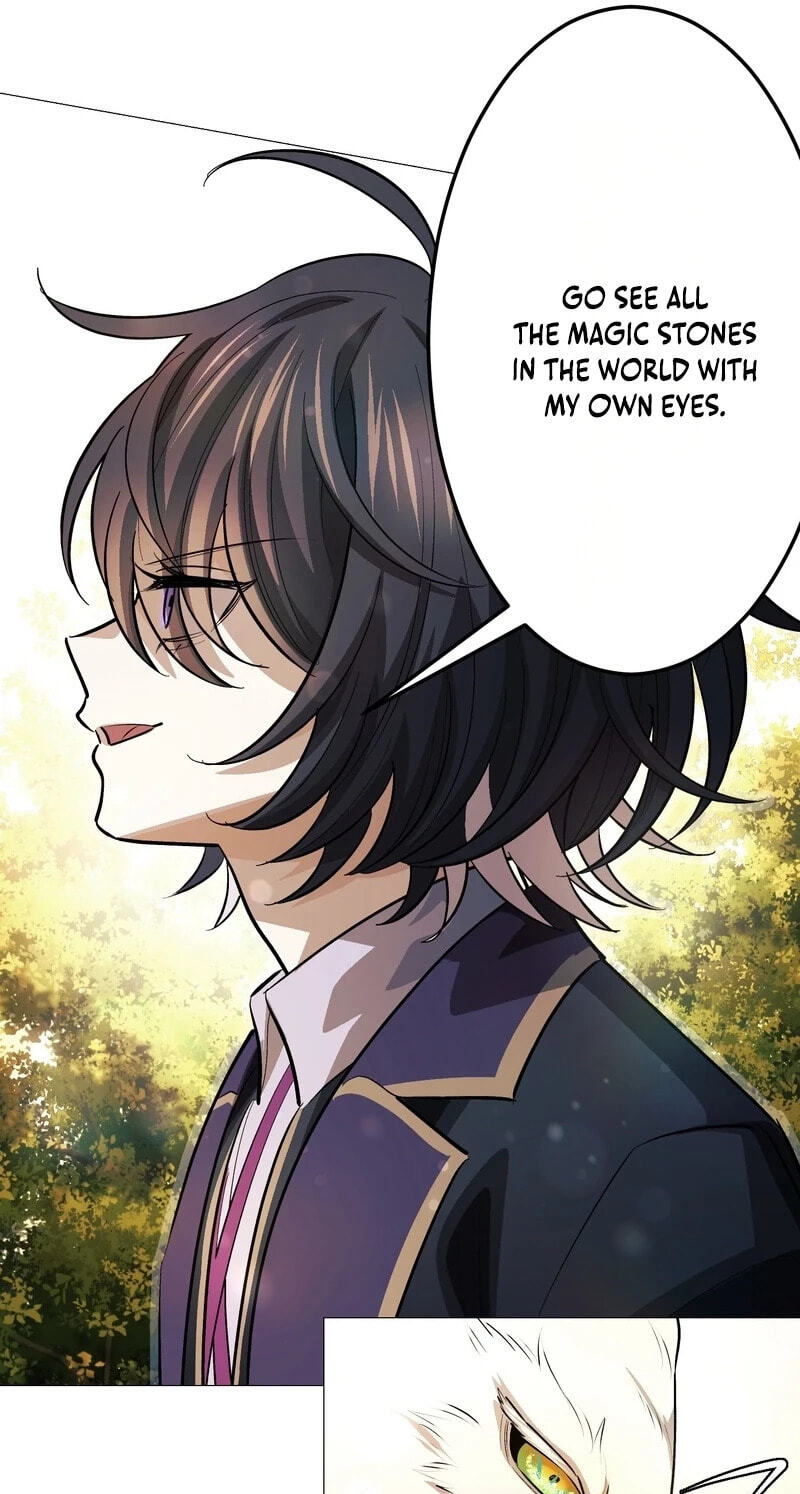 The Divine-Eyed Grimoire Mage: Jewel Saga Chapter 25 page 48 - 
