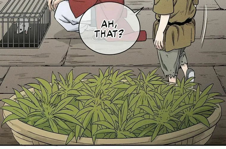 The Divine Surgeon Chapter 12 page 41 - 
