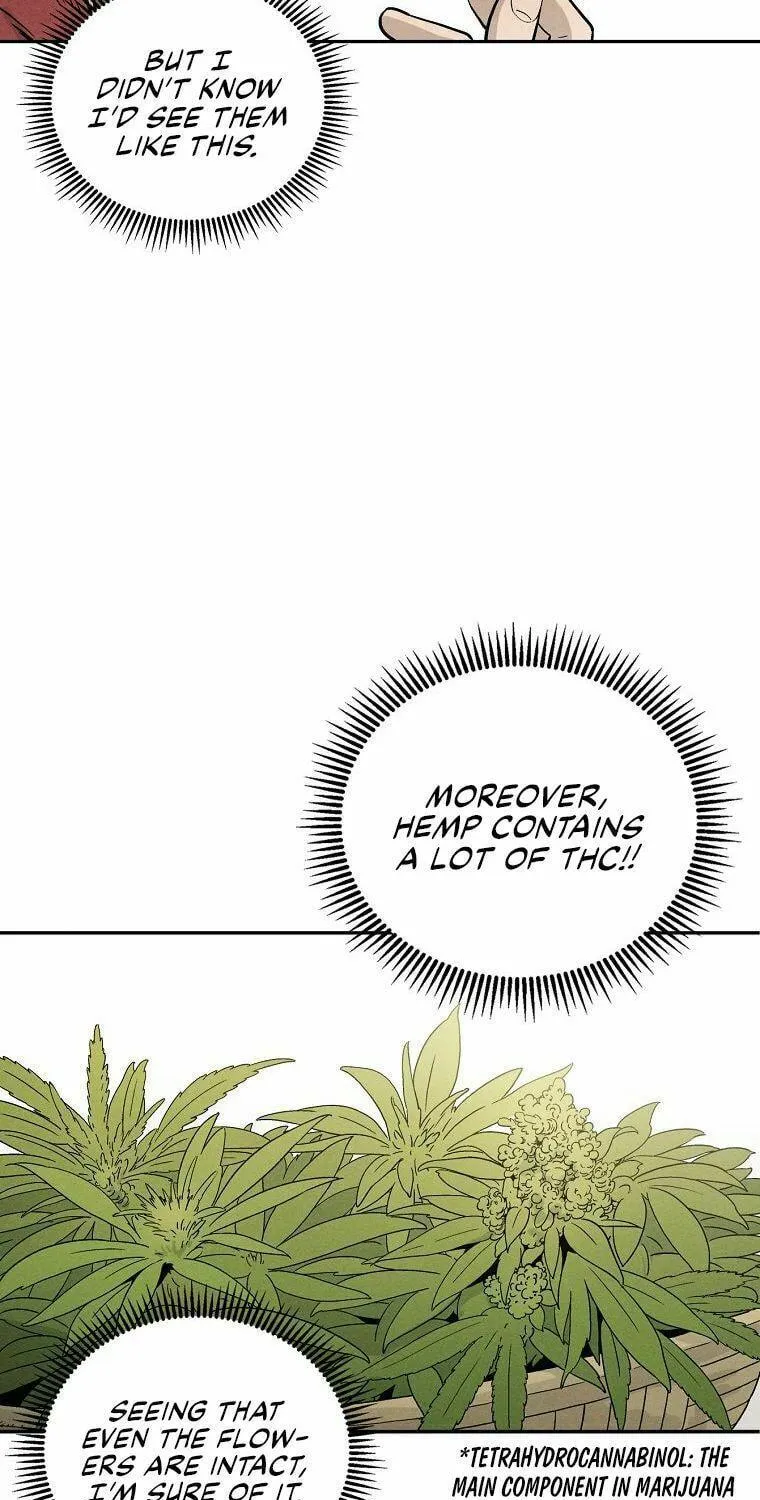 The Divine Surgeon Chapter 12 page 49 - 
