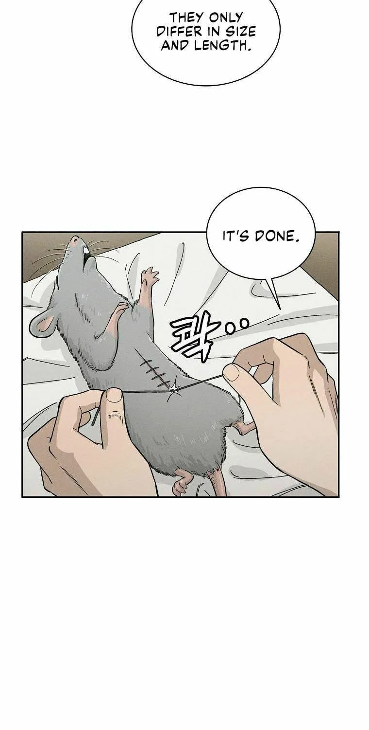 The Divine Surgeon Chapter 12 page 64 - 
