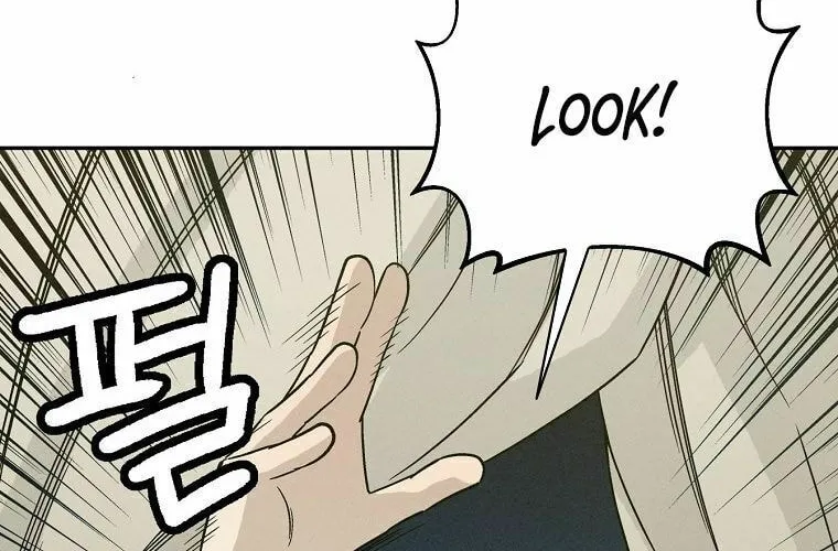 The Divine Surgeon Chapter 15 page 3 - 