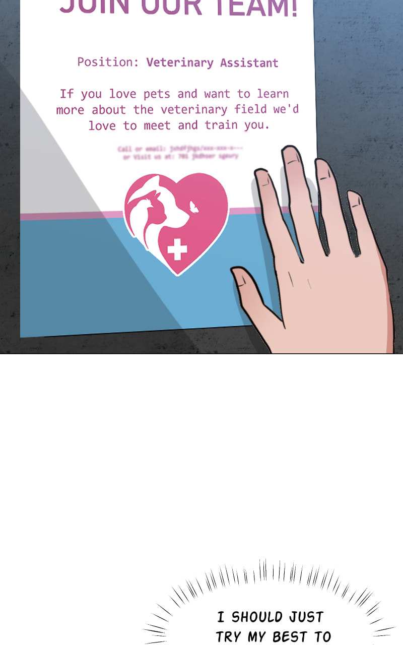 The Doctors are Out Chapter 115 page 62 - 