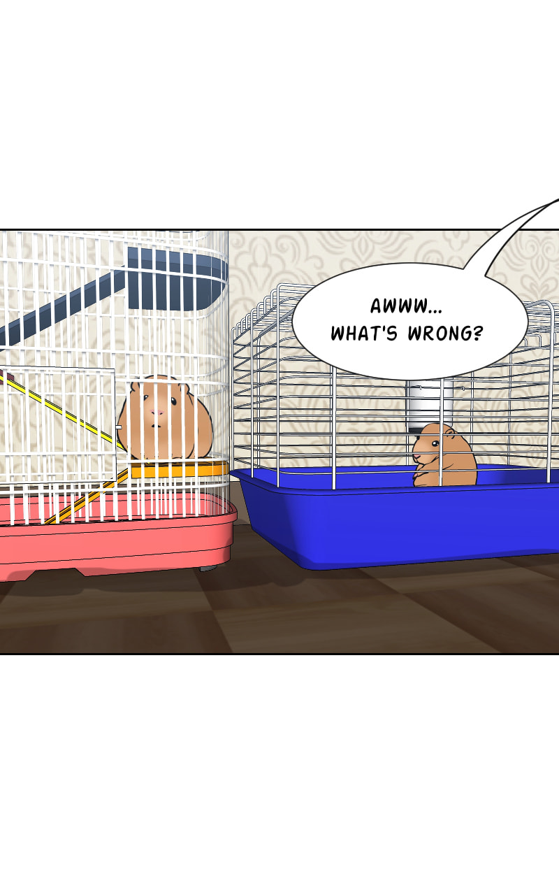 The Doctors are Out Chapter 116 page 3 - 