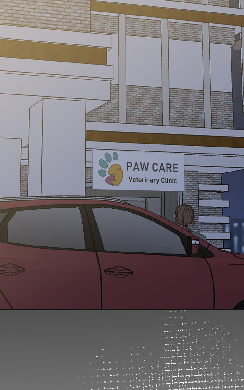 The Doctors are Out Chapter 120 page 17 - 