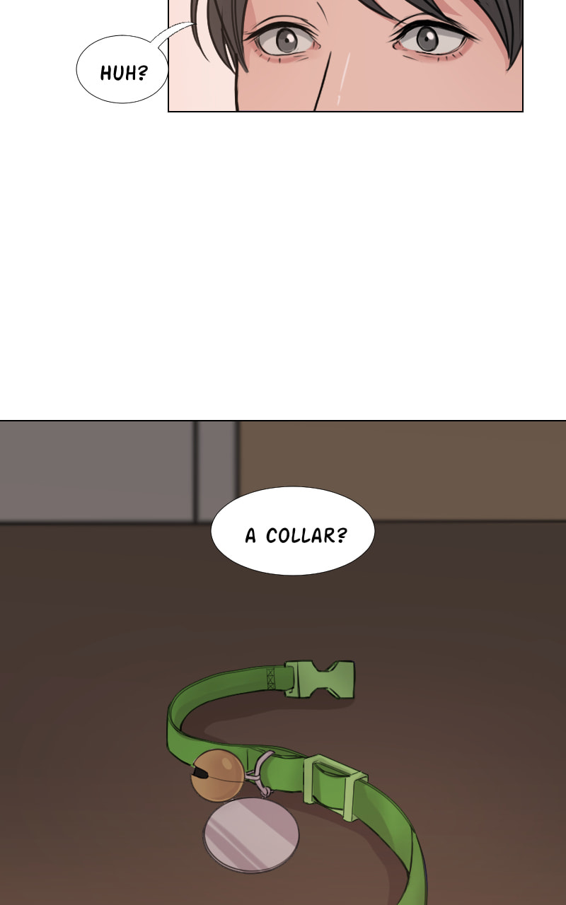 The Doctors are Out Chapter 17 page 13 - 