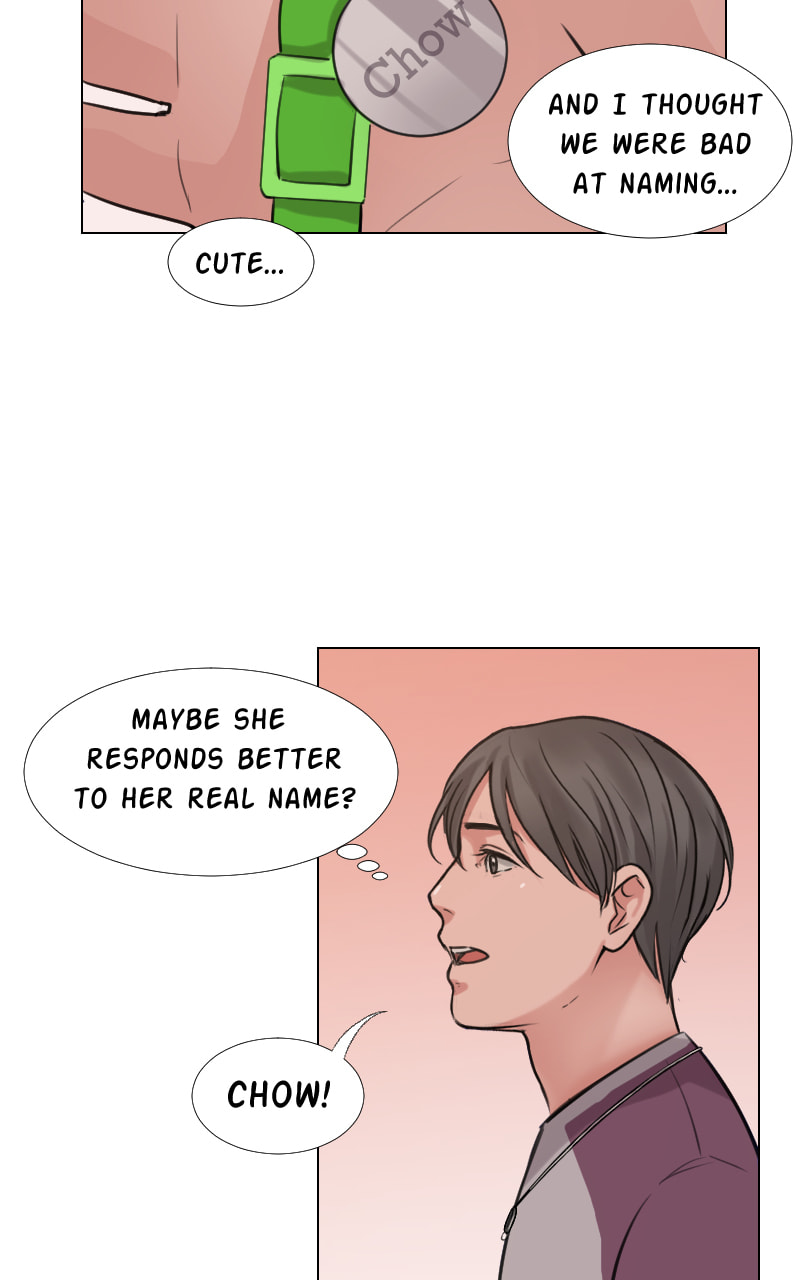 The Doctors are Out Chapter 17 page 19 - 