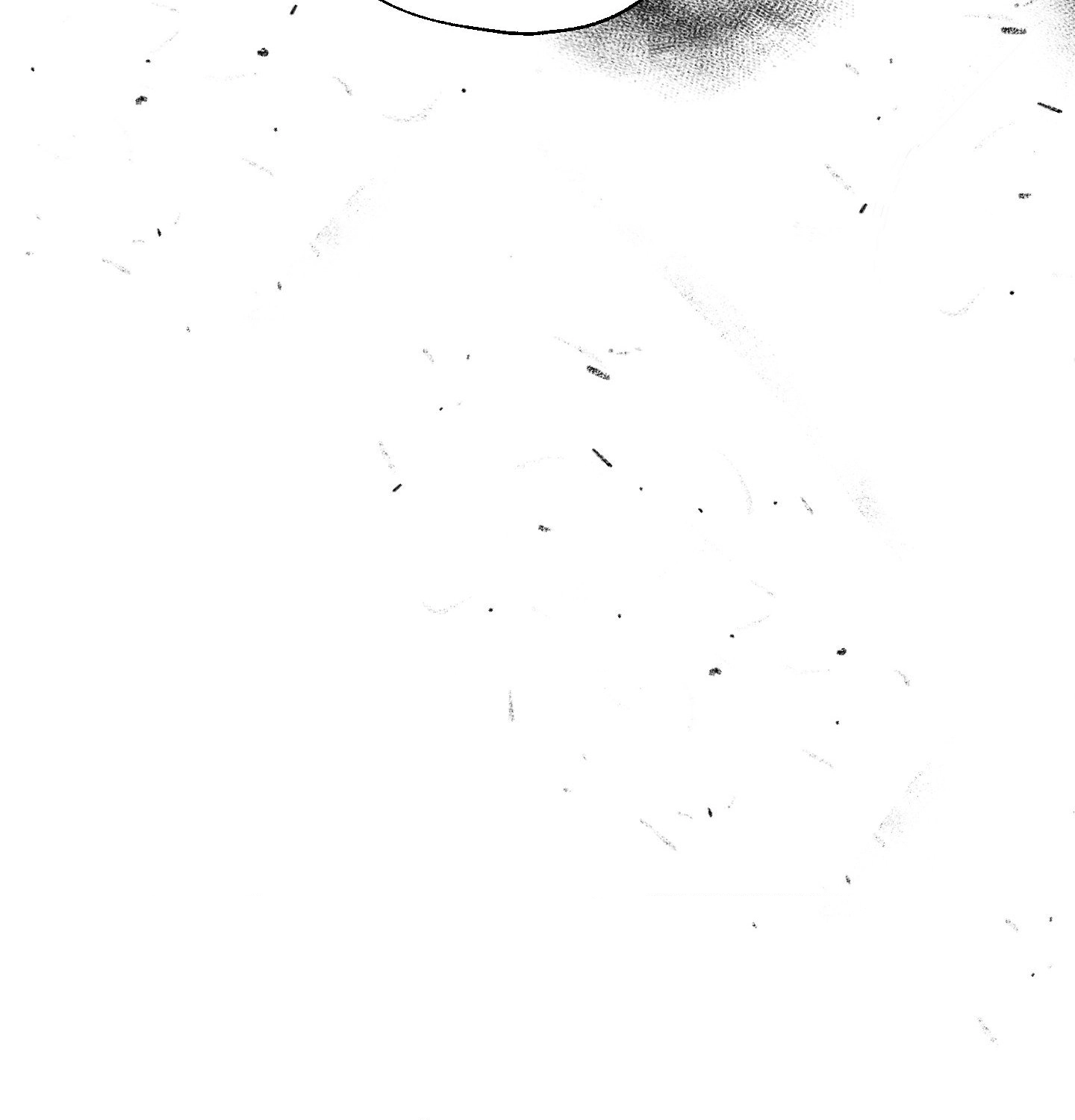 The Dokkaebi