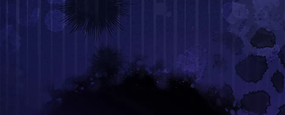 The Doomed House