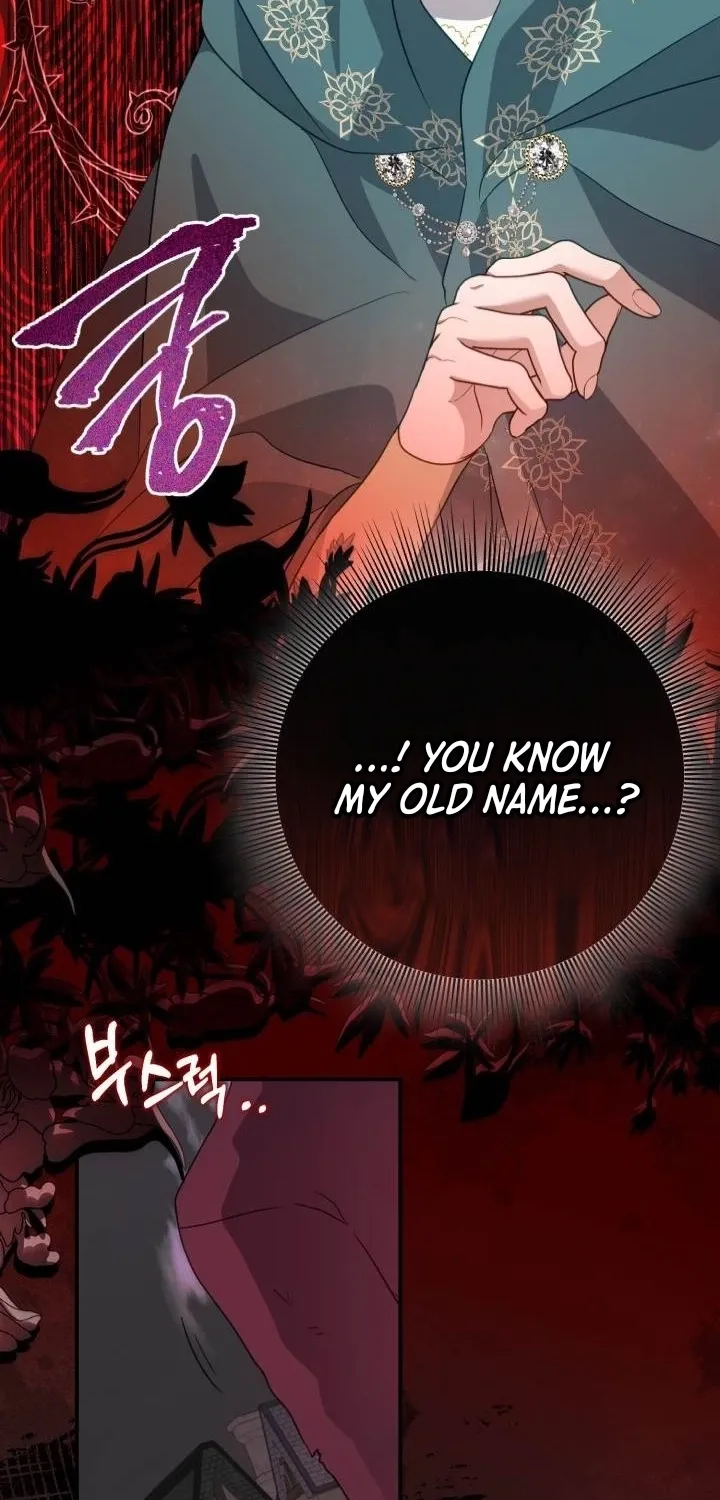 The Doomed House