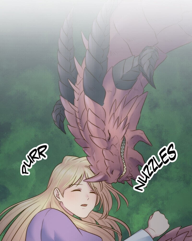 The Dragon Prince