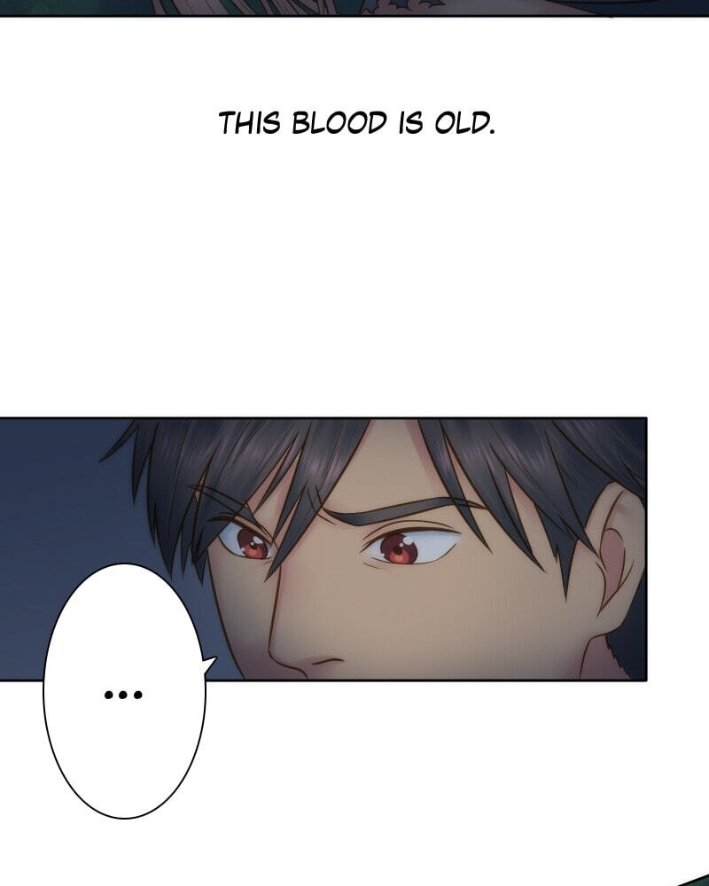 The Dragon Prince