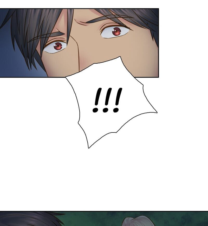The Dragon Prince