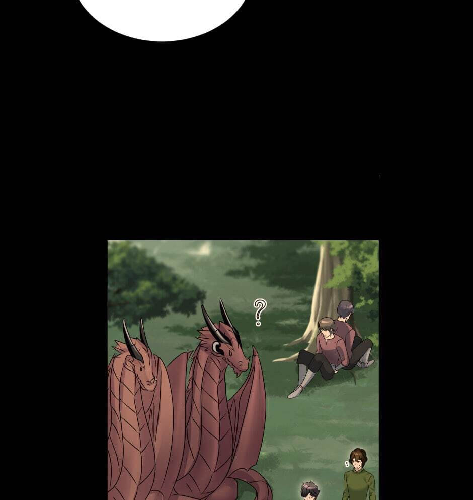 The Dragon Prince