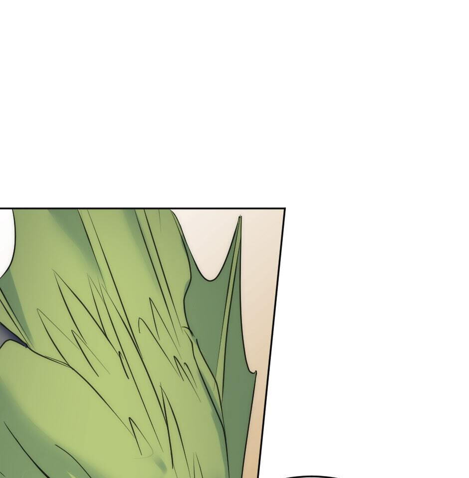 The Dragon Prince
