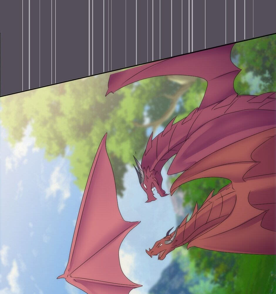 The Dragon Prince