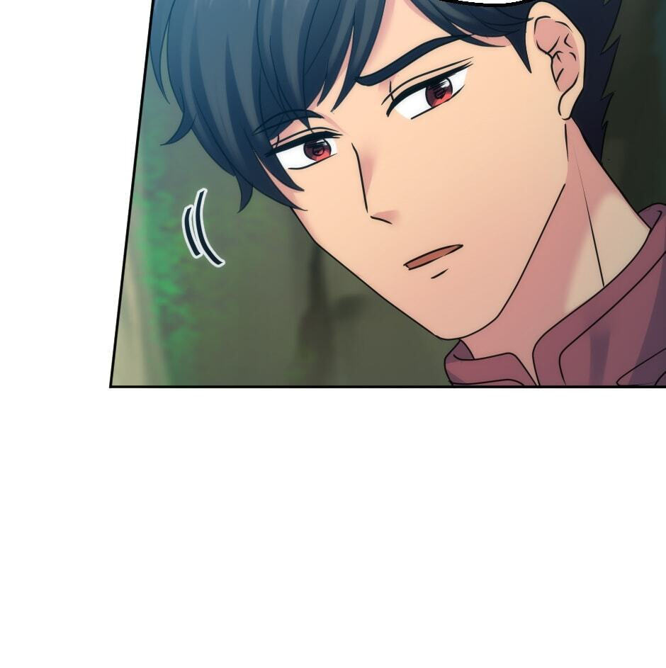 The Dragon Prince