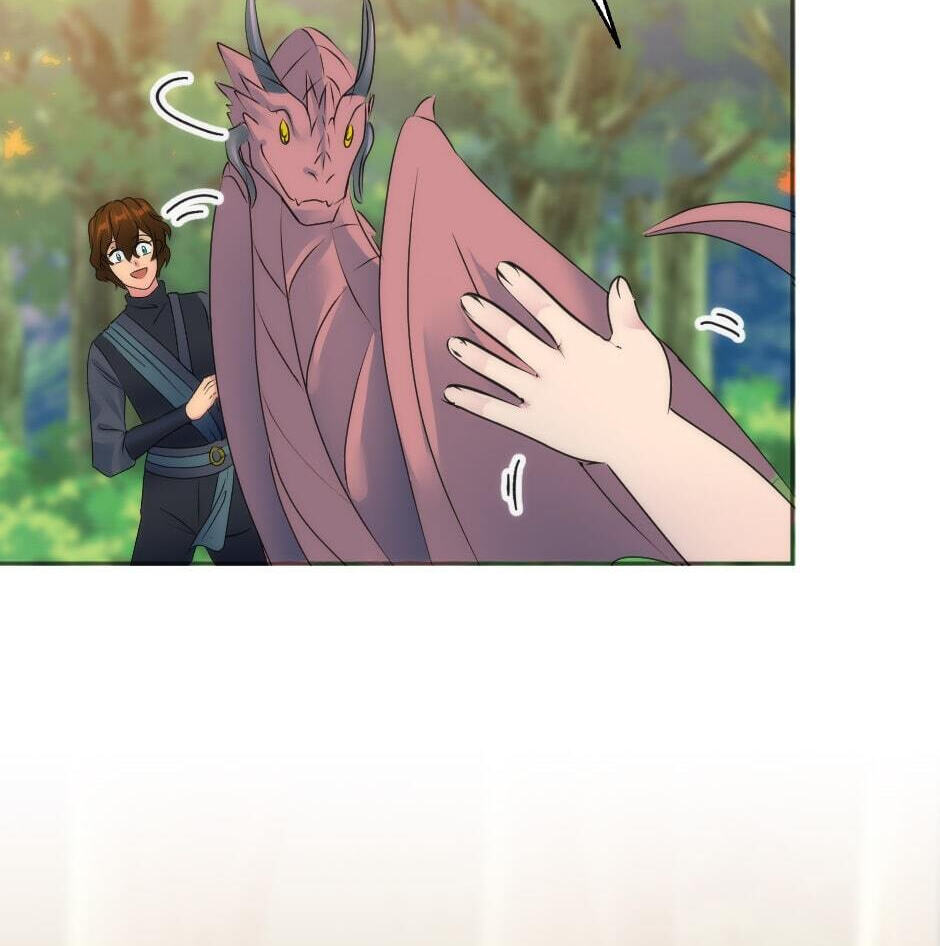 The Dragon Prince