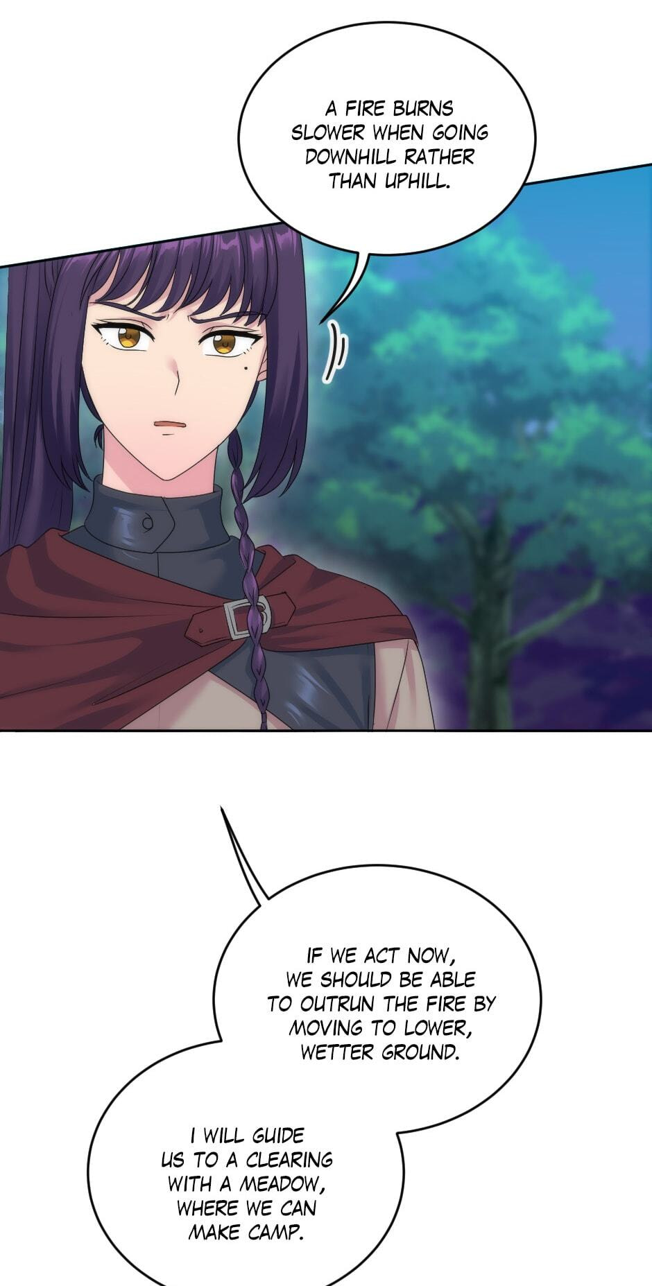 The Dragon Prince