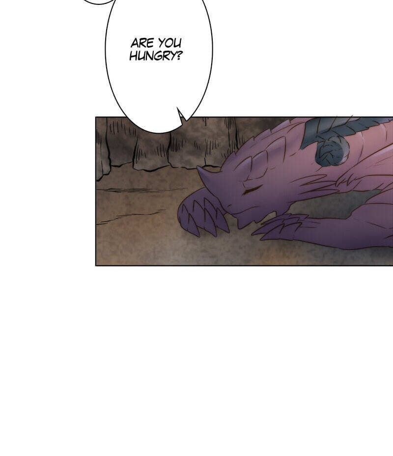 The Dragon Prince