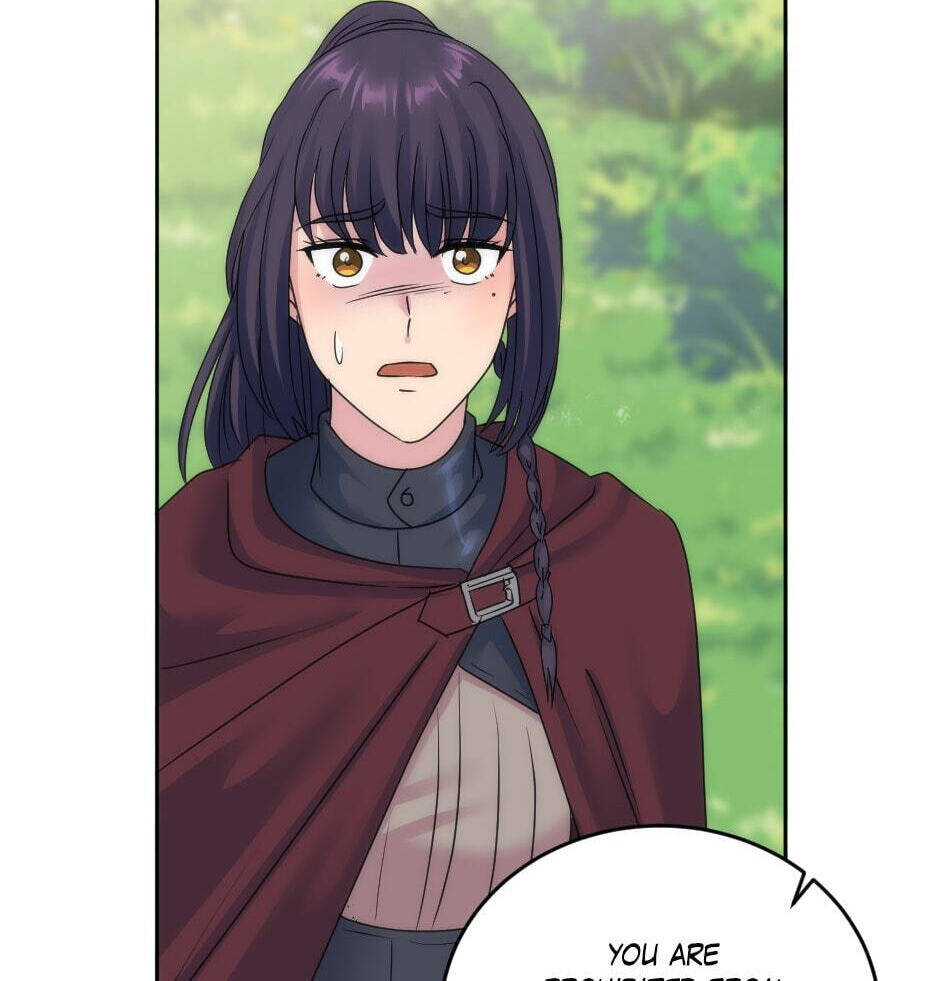 The Dragon Prince