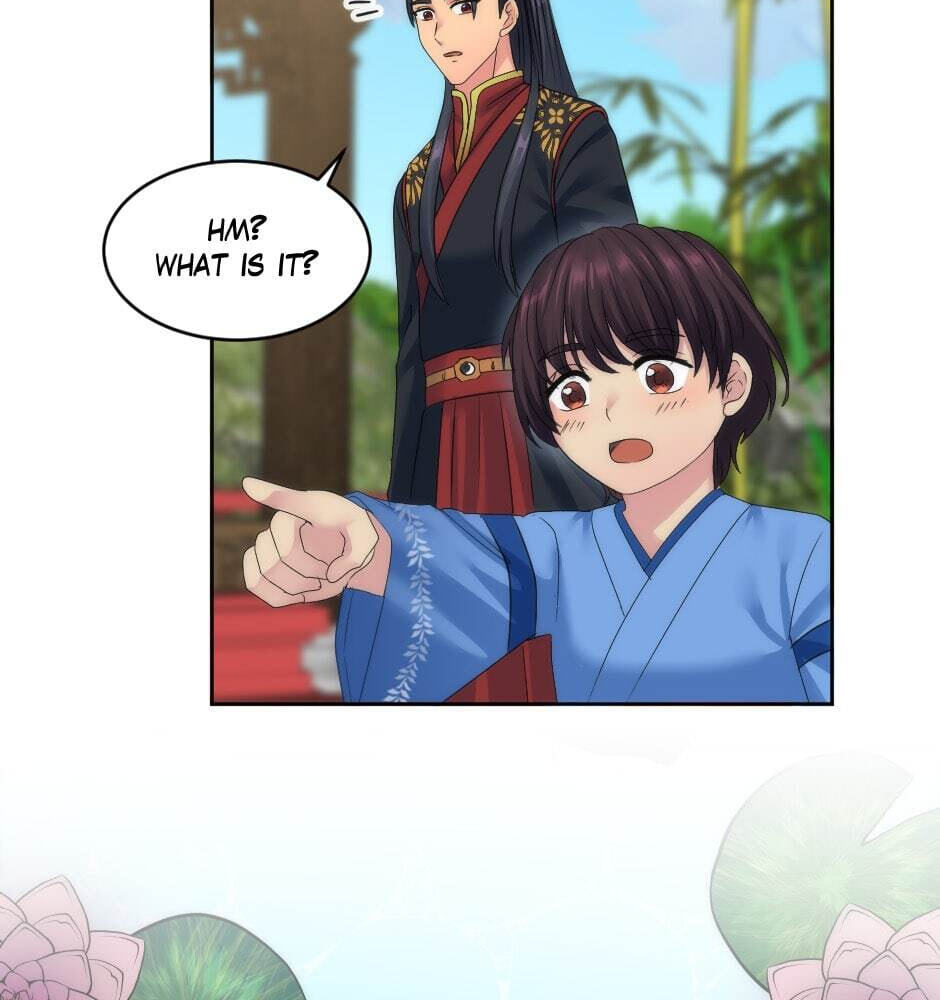 The Dragon Prince