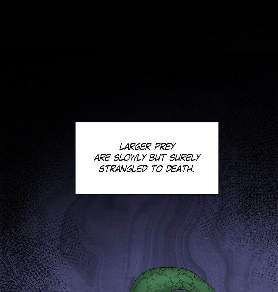 The Dragon Prince