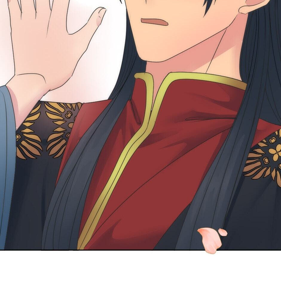 The Dragon Prince