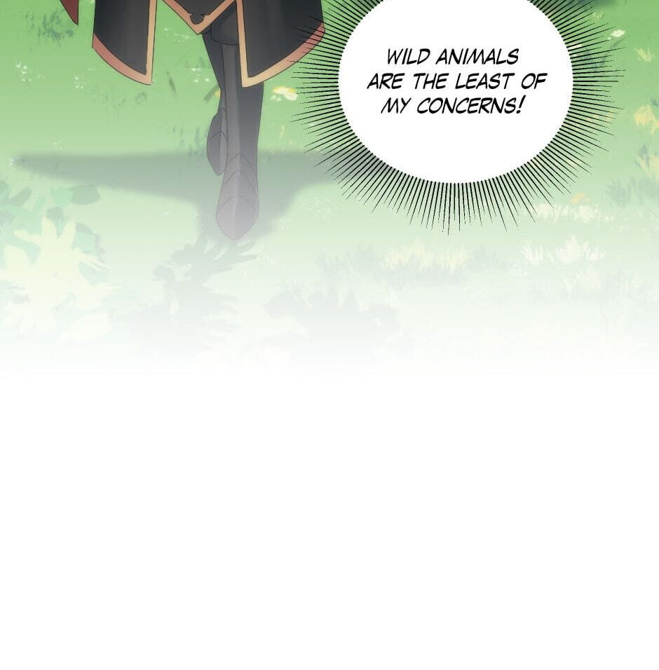 The Dragon Prince