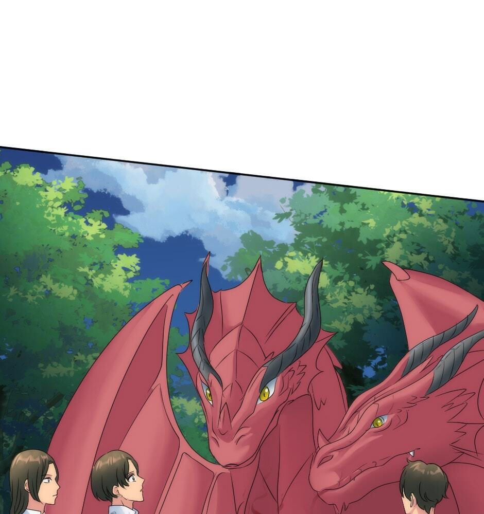 The Dragon Prince