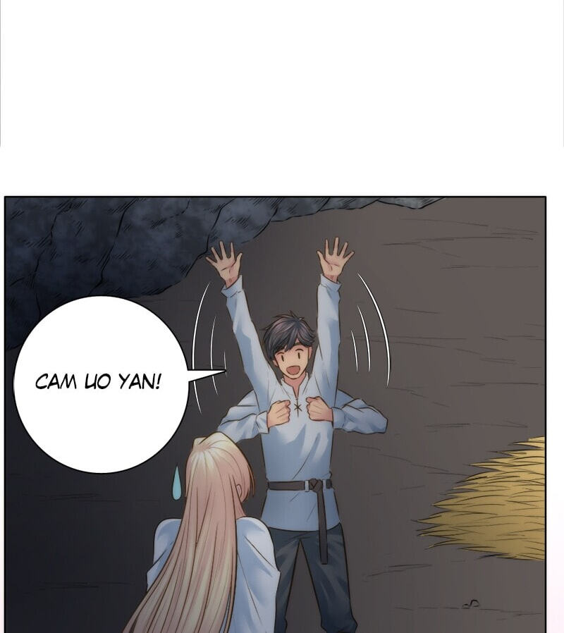 The Dragon Prince