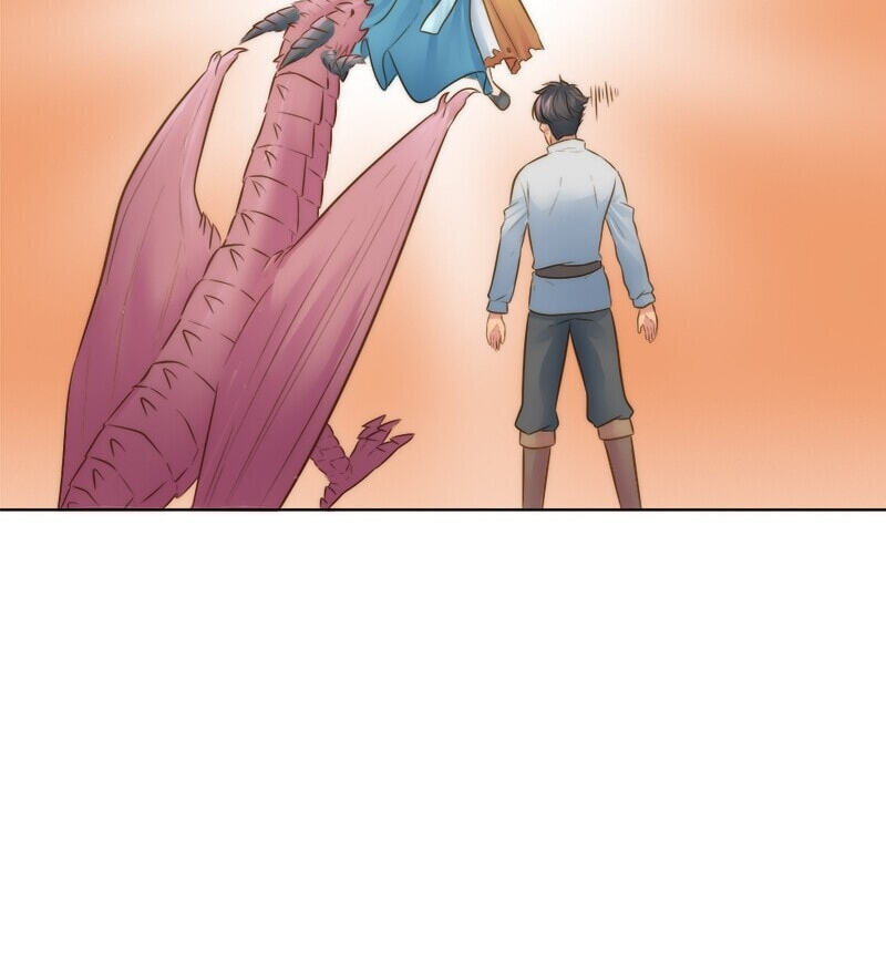The Dragon Prince
