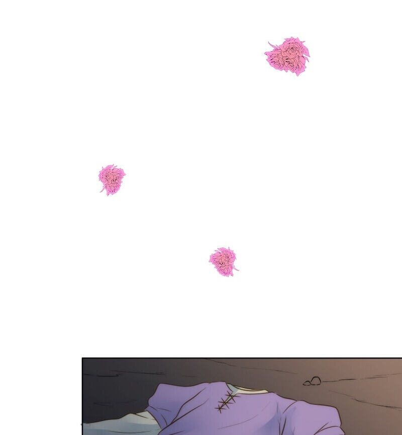 The Dragon Prince