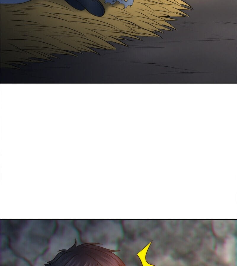 The Dragon Prince