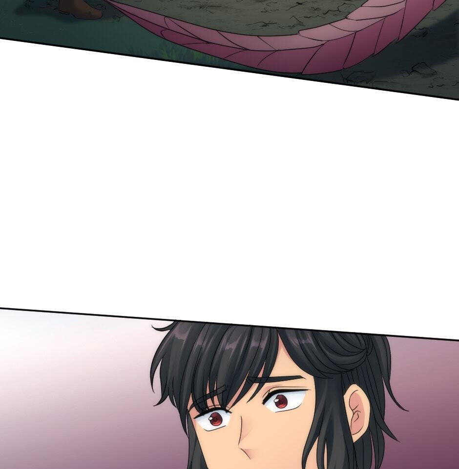 The Dragon Prince