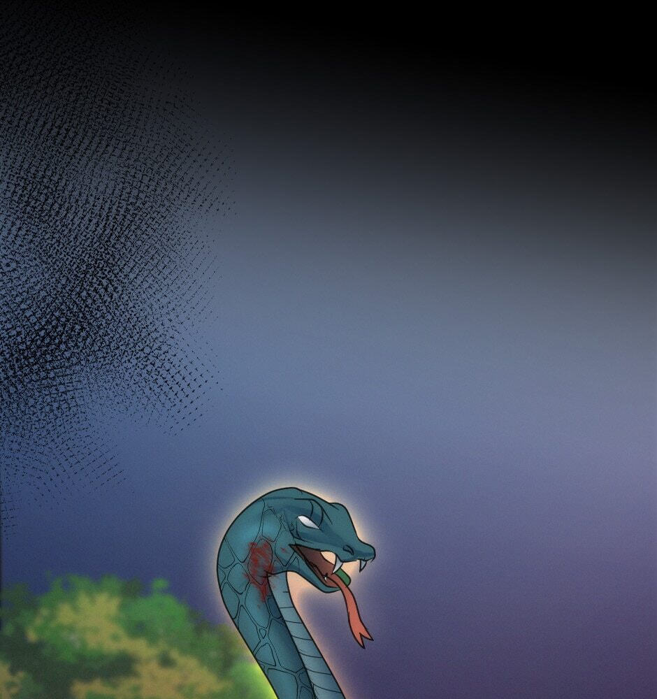The Dragon Prince