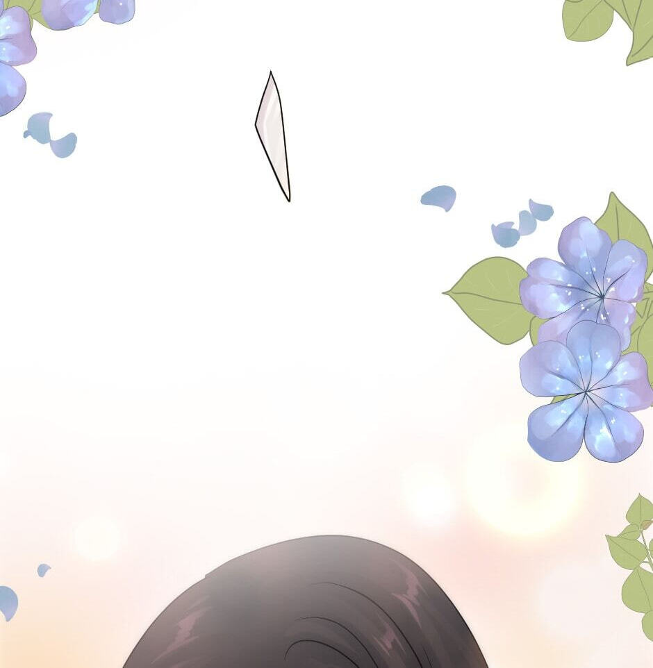 The Dragon Prince