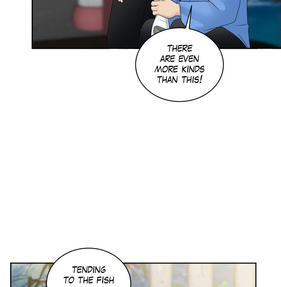 The Dragon Prince