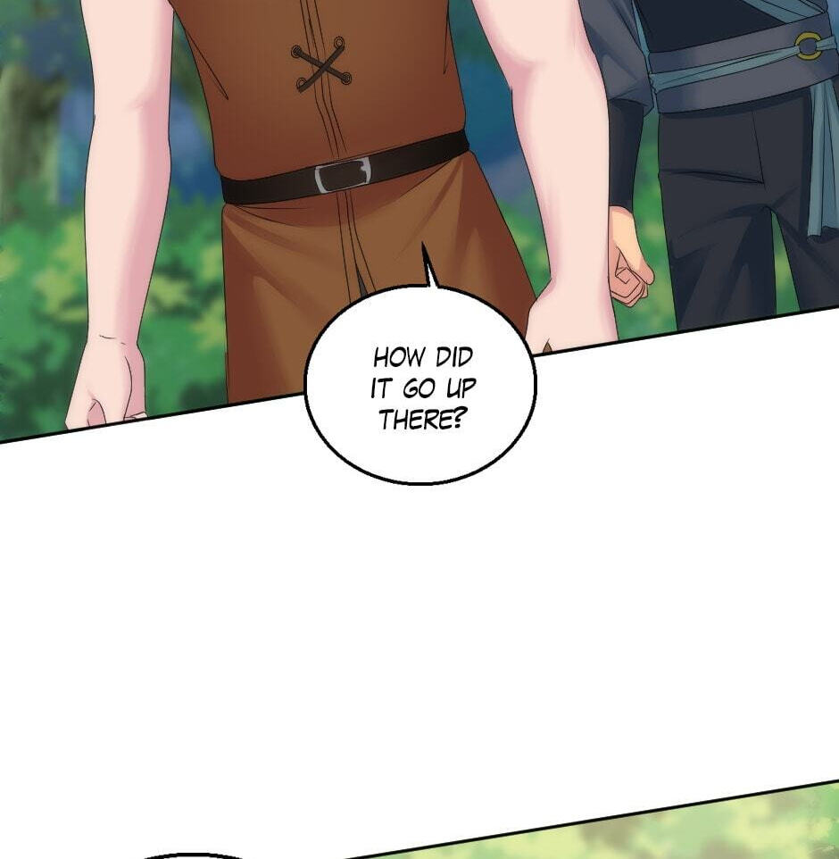 The Dragon Prince